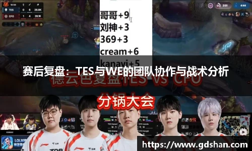 赛后复盘：TES与WE的团队协作与战术分析
