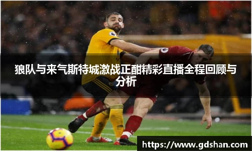 狼队与来气斯特城激战正酣精彩直播全程回顾与分析